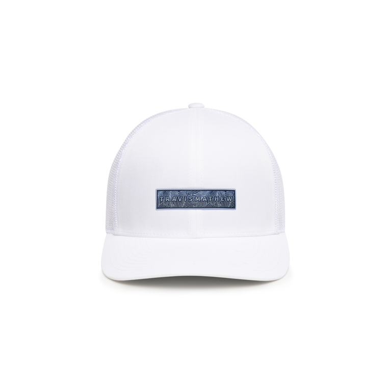 Air Plant Snapback